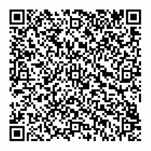 QR-Code Fatt. Elett.